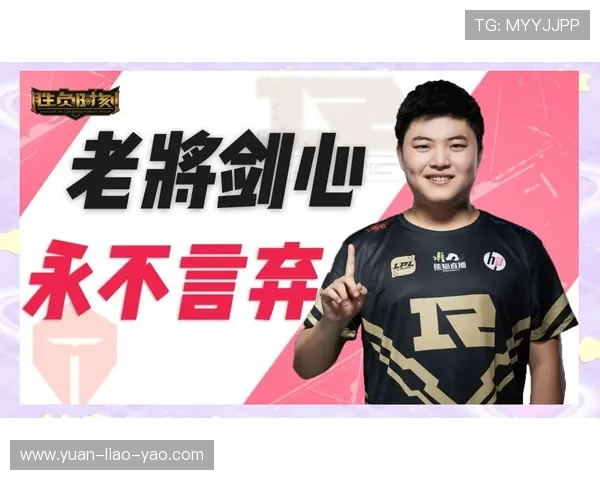 赛后分析:TES与RNG对决中的战术布局与执行细节探讨