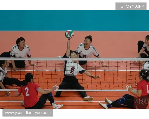 重庆排球队战术实力强劲荣登全国排球战术排行榜第十位