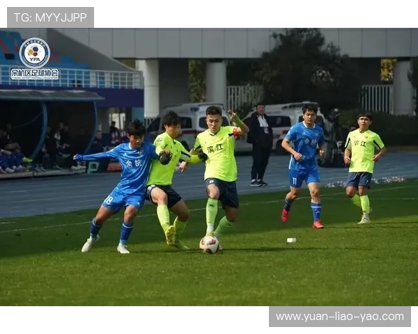 杭州排球队逆袭之路：城市联赛中的拼搏与荣耀